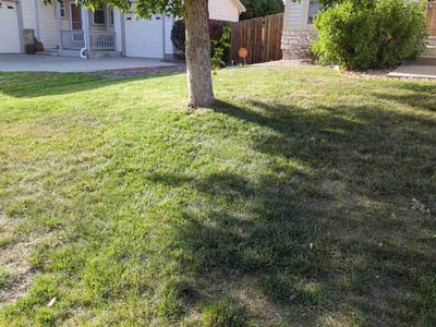 Lawn care service in Aurora, 80013