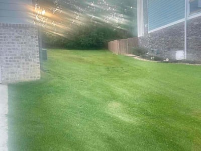 Lawn care service in Harrison, 37341