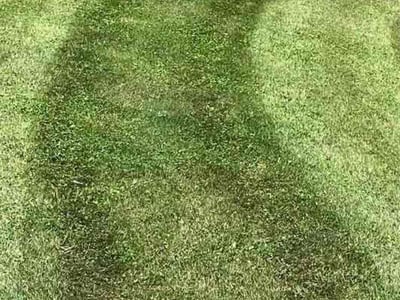 Lawn care service in South Park Township, 15129