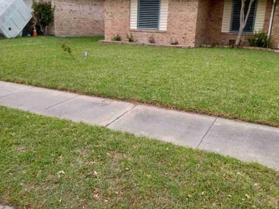 Lawn care service in Corpus Christi, 78414