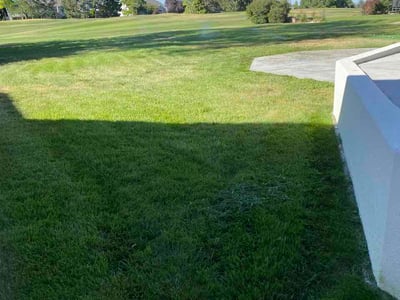 Lawn care service in Fort Collins, 80528