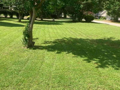 Lawn care service in McDonough, 30253