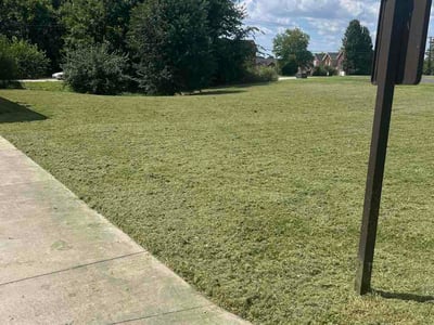 Lawn care service in Bardstown, 40004