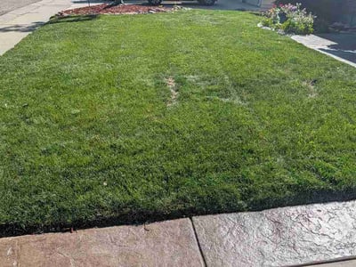 Lawn care service in Arvada, 80003