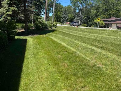Lawn care service in Grand Rapids, 49525