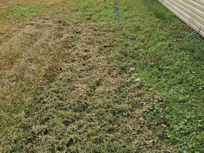 Lawn care service in Hammond, 70403