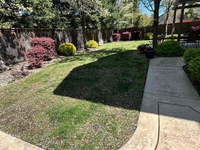 Lawn care service in Roseville, 95746