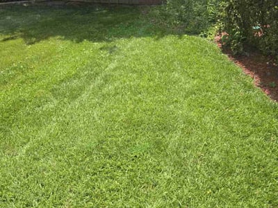 Lawn care service in Greensboro, 27410