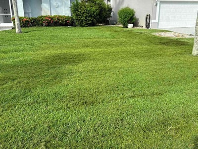 Lawn care service in Fort Myers, 33913
