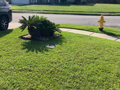 Lawn care service in Gulfport, 39503