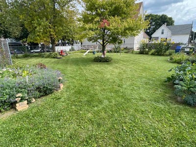 Lawn care service in Milwaukee, 53205