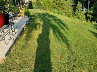 Lawn care service in Clayton, 27527