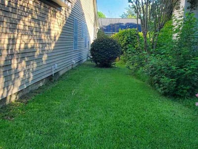 Lawn care service in Charleston, 29414
