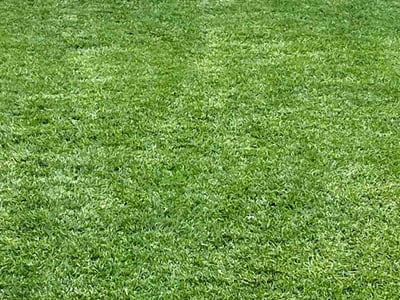 Lawn care service in Smyrna, 30080