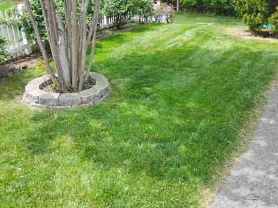 Lawn care service in Stafford, 22556