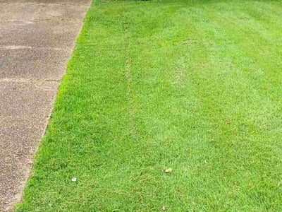 Lawn care service in Collierville, 38017