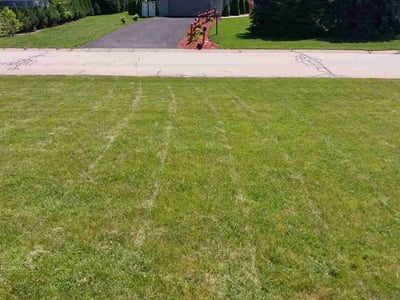 Lawn care service in Brookfield, 53045