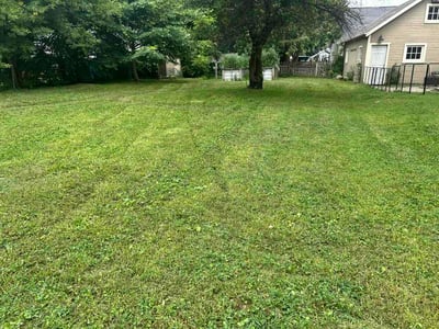 Lawn care service in Fond du Lac, 54935