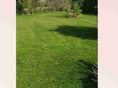 Lawn care service in Kent City, 49330