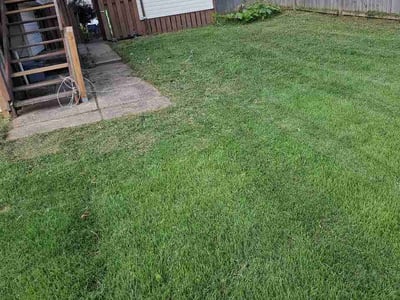 Lawn care service in Harrison, 45030
