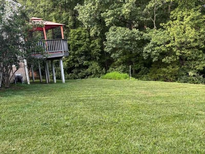 Lawn care service in Fredericksburg, 22406