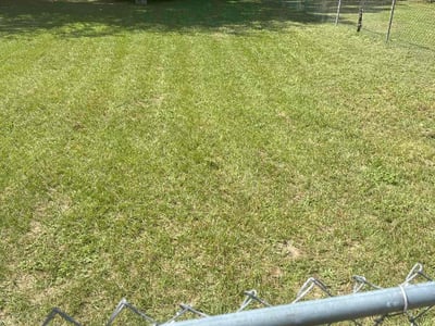 Lawn care service in Fayetteville, 28304