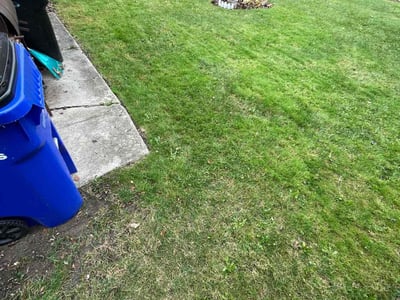Lawn care service in Detroit, 48224