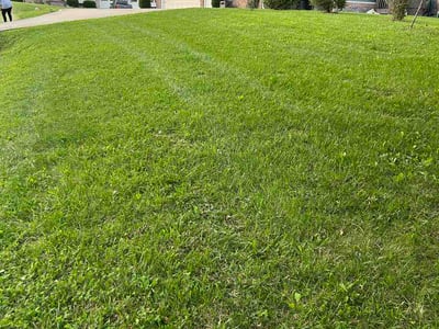 Lawn care service in Georgetown, 40324