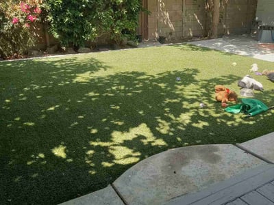 Lawn care service in Costa Mesa, 92626