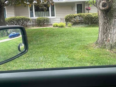 Lawn care service in Wayzata, 55391