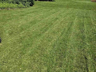 Lawn care service in Allentown, 18103