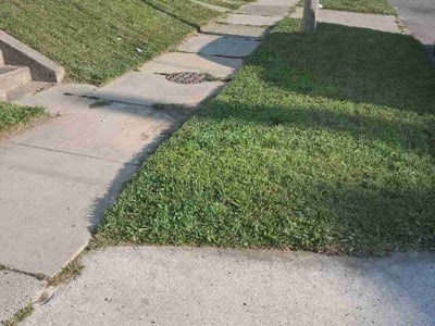 Lawn care service in Toledo, 43605