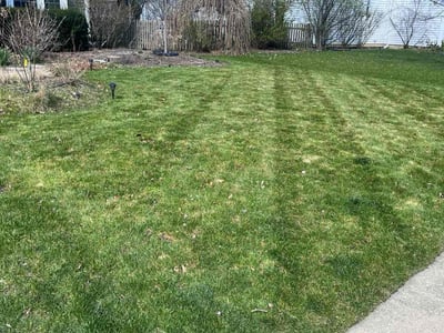 Lawn care service in Gages Lake, 60030