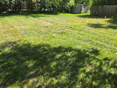 Lawn care service in Pekin, 61554