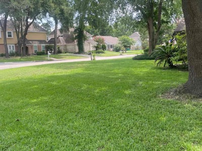 Lawn care service in Conroe, 77304