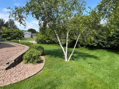 Lawn care service in Lakeville, 55044
