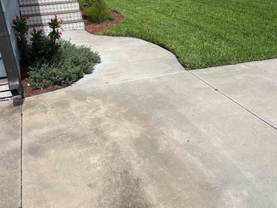 Lawn care service in Tampa, 33603