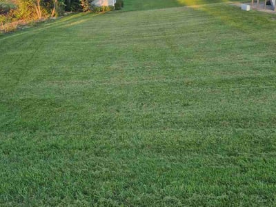 Lawn care service in Byron Center, 49315