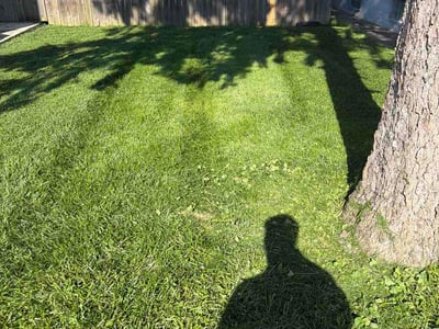 Lawn care service in Columbus, 43206