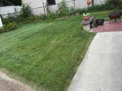 Lawn care service in St. Louis, 63123