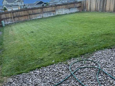 Lawn care service in Colorado Springs, 80910