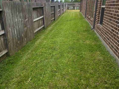 Lawn care service in Missouri City, 77459