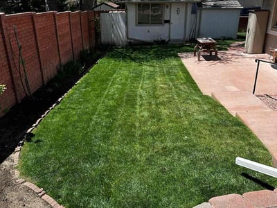 Lawn care service in Colorado Springs, 80915