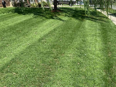 Lawn care service in Temple Hills, 20748