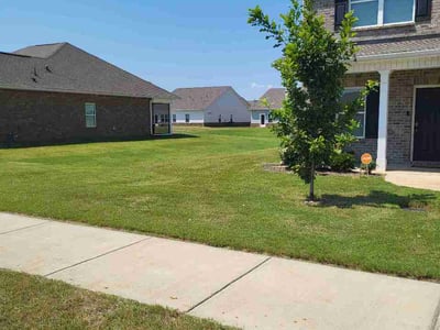 Lawn care service in Athens, 35611