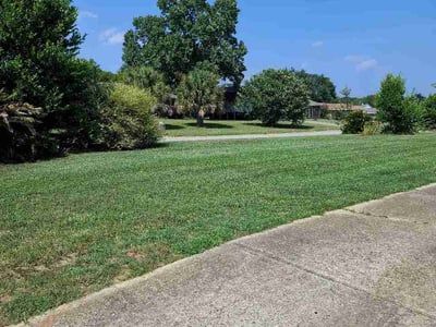 Lawn care service in Warner Robins, 31093