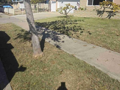 Lawn care service in Chula Vista, 91911