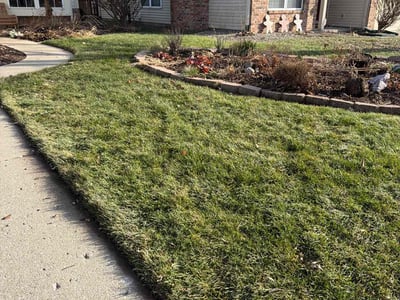 Lawn care service in Fishers, 46038