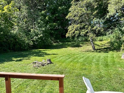 Lawn care service in Hamden, 06514