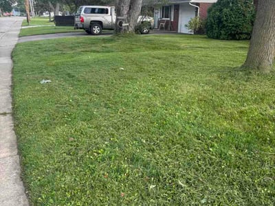 Lawn care service in Englewood, 45322